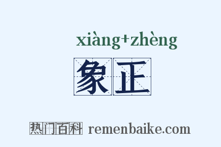 象正是什么意思的图片